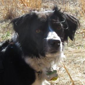 Fundraising Page: Liz Alakszay